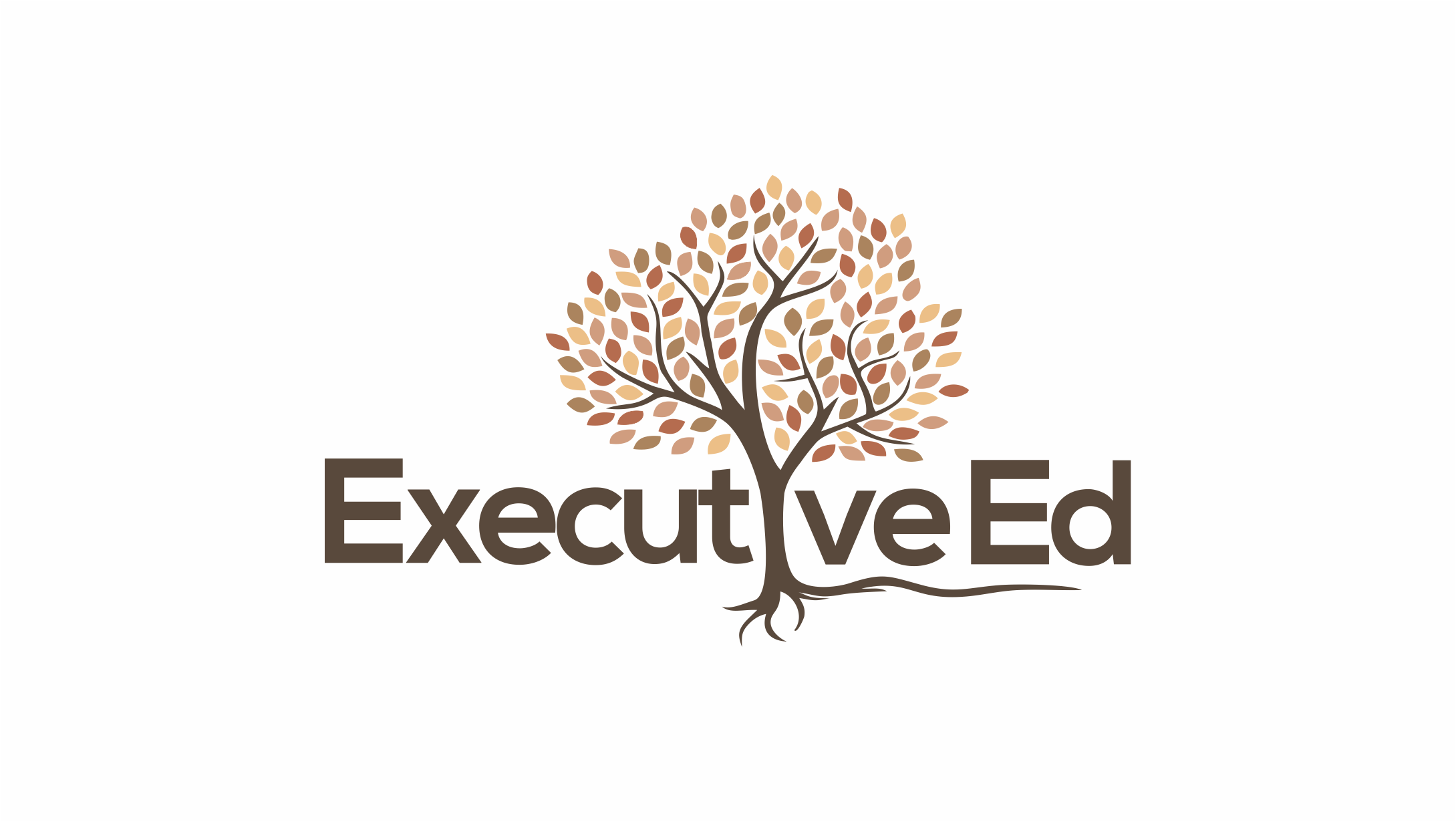 ExecutiveEd.com